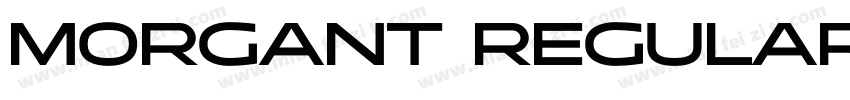 Morgant Regular字体转换